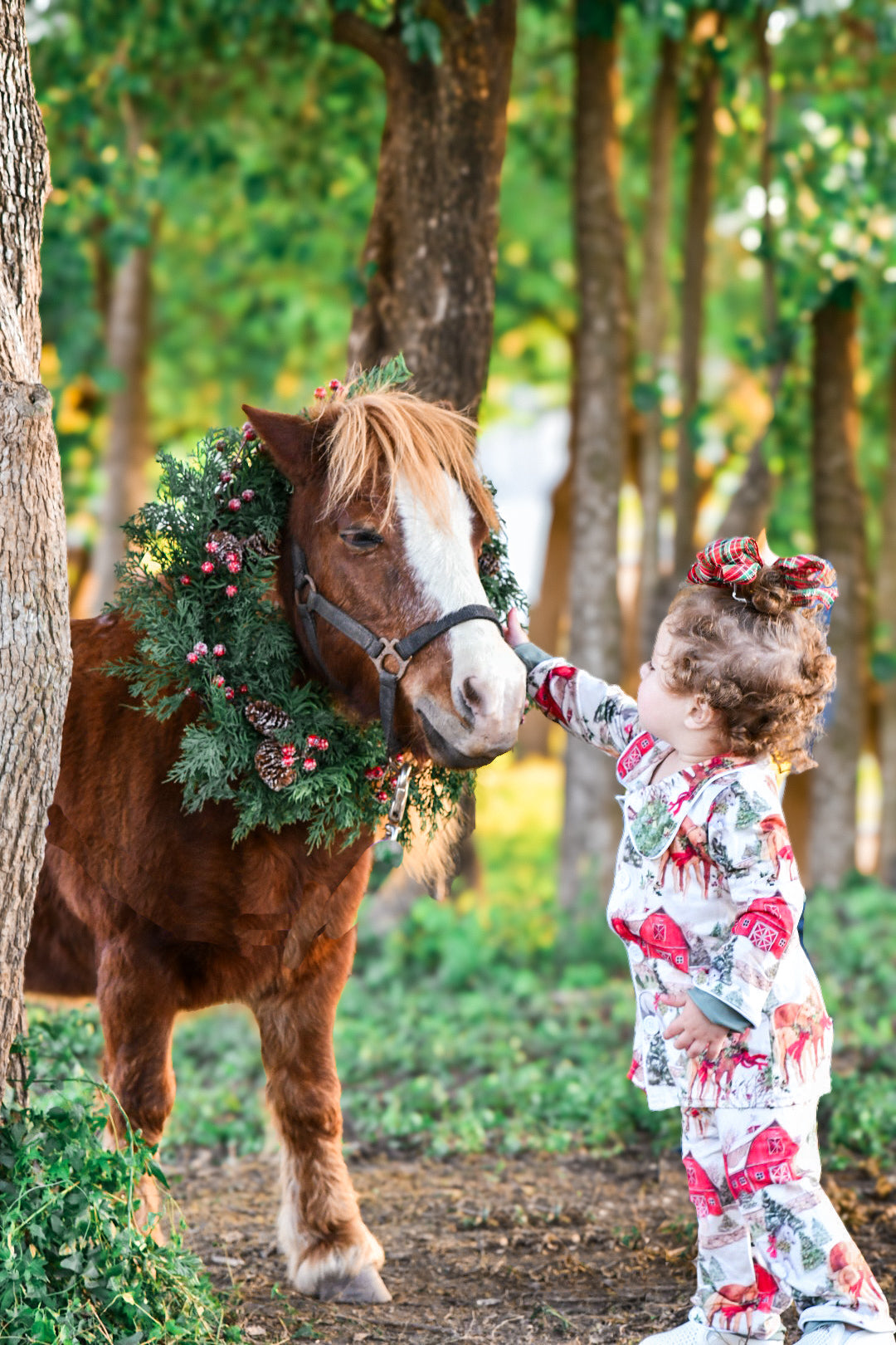 Dreaming Of A White Horse Christmas