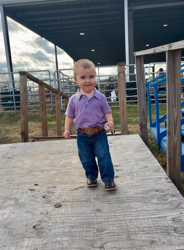 Boys Purple Stripped Polo