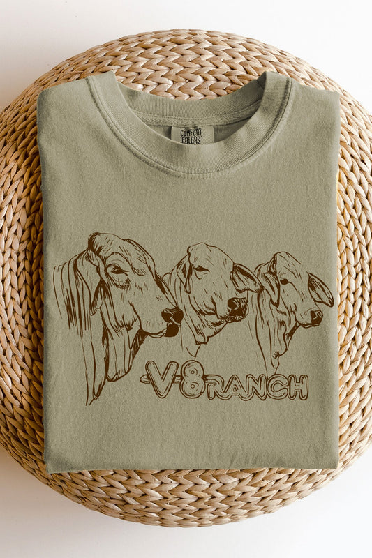 Sketched Brahman V8 Tee